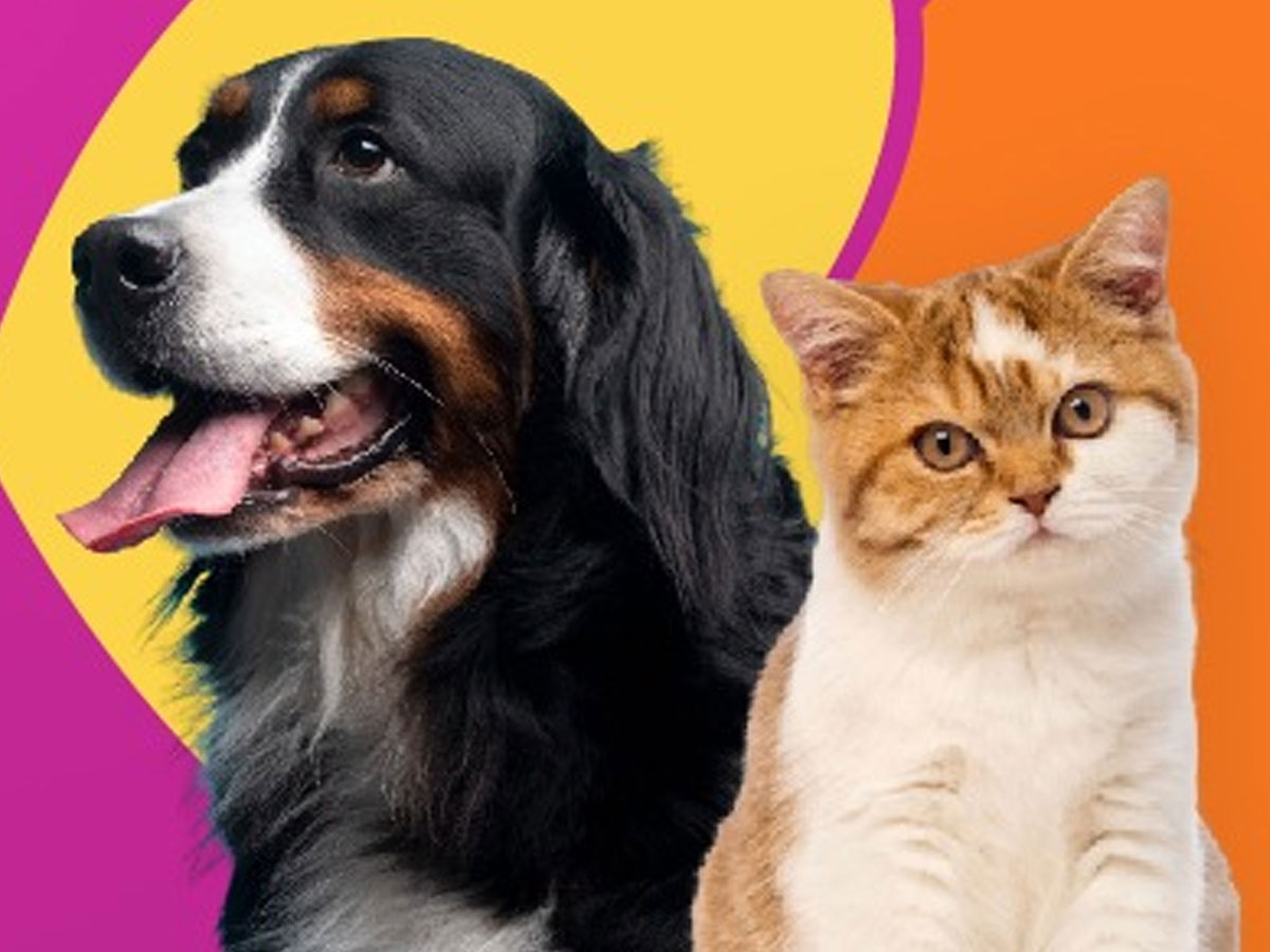 Equipe da PeloPet cuidando de um pet